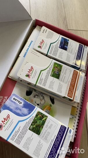 Чтение с пеленок + мир на ладошке