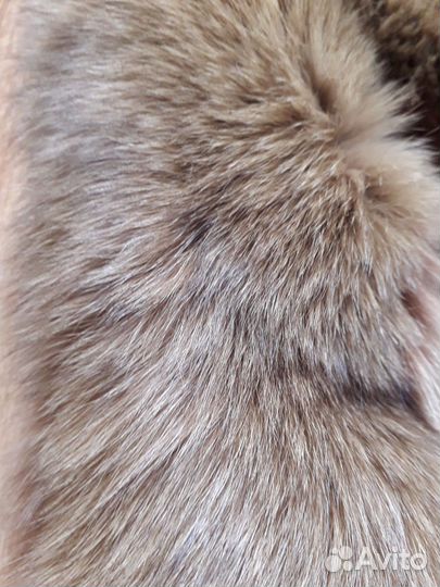 Меховой воротник лиса