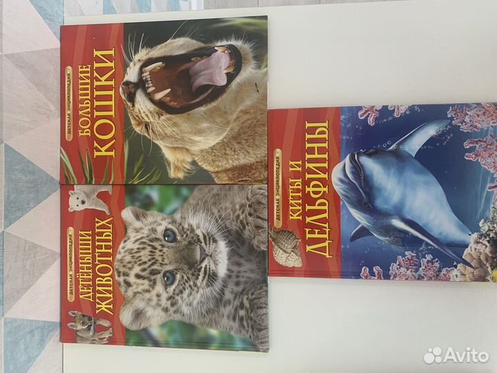 Детская энциклопедия