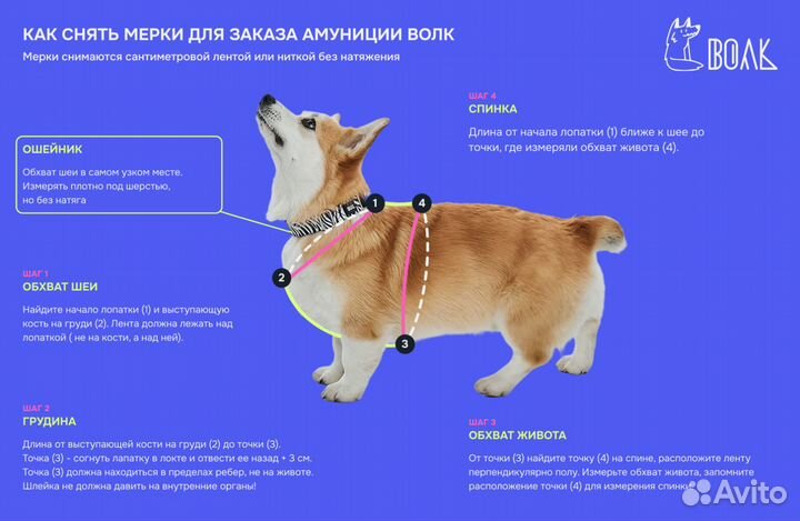 Ошейник Волк Саванна