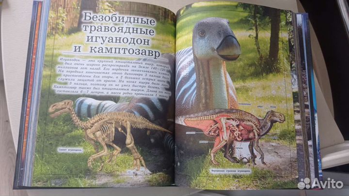 Гигантская детская энциклопедия