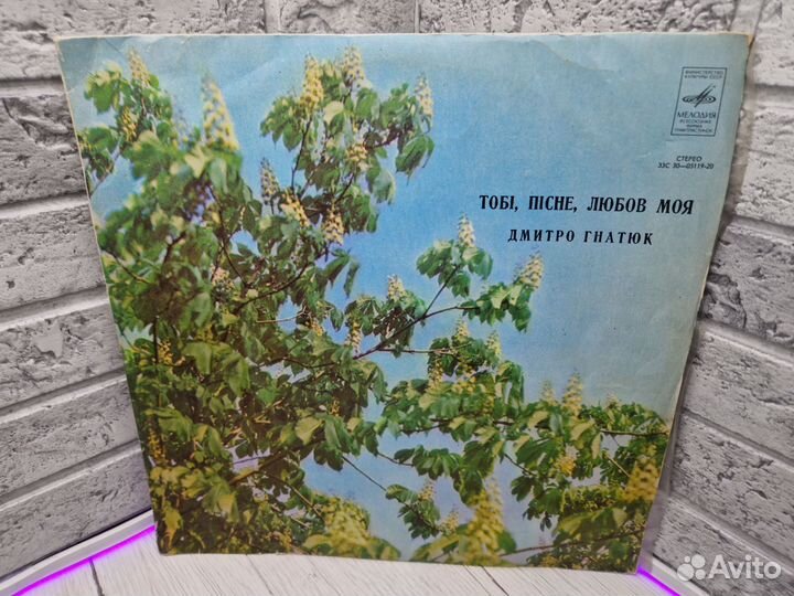 К.31 Пластинка винил Дмитро Гнатюк