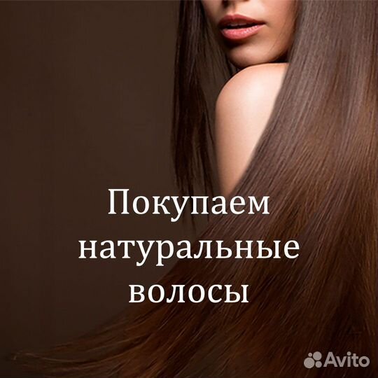 Скупка волос сдать продать волосы Черкесск