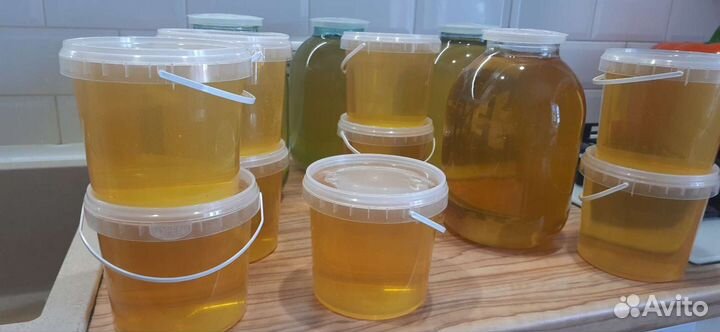 Мёд, качали июне 2023 г