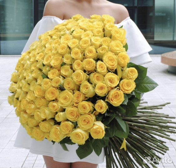 Розы Эквадор