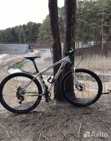 Mongoose tyax expert 29