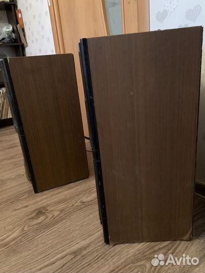 Акустическая система вега 50ас-106