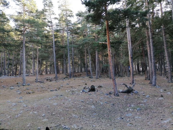 Участок 5 сот. (ИЖС)