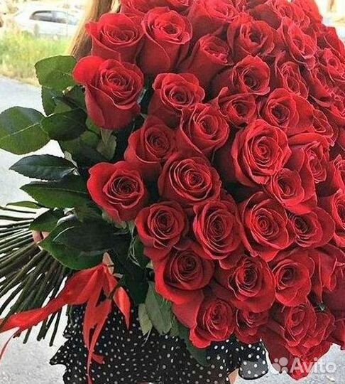 101 Роза Цветы Букеты 51 25 Роз Доставка