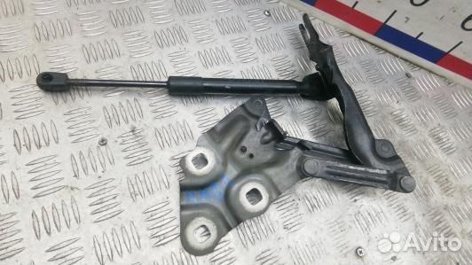 Петля капота BMW X3 F25 (4MB01D501)