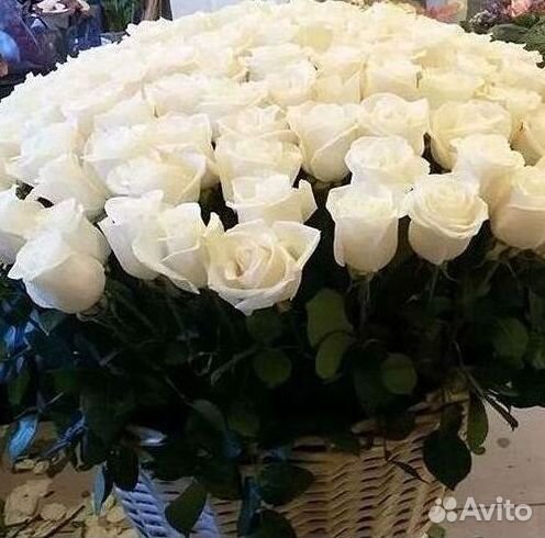 Высокие Высокие розы Гигантские розы Букеты Достав