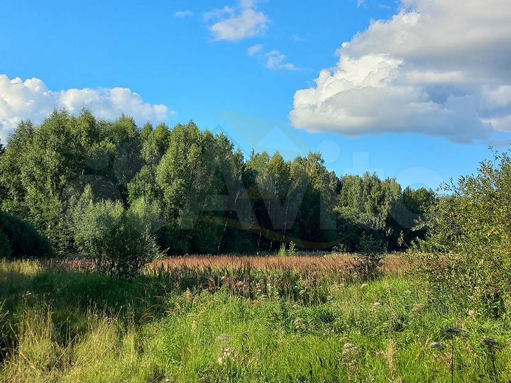 Участок 12 сот. (СНТ, ДНП)