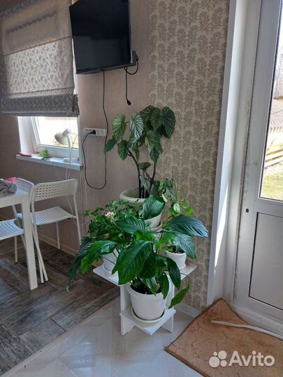 Полка для цветов напольная