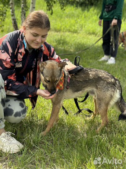 Очаровательный Гром ждет семью