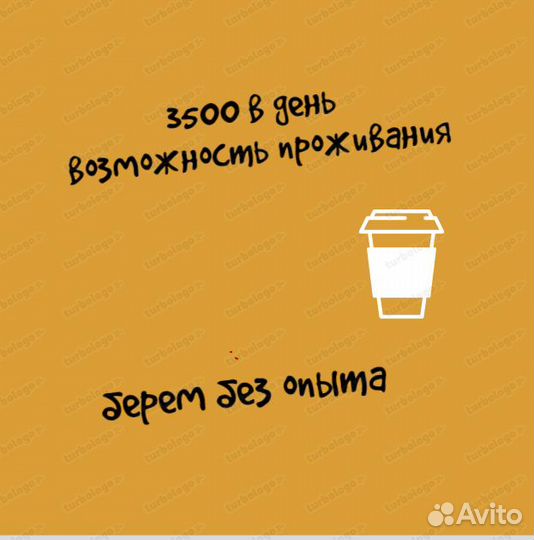 Бариста (без образования) 6