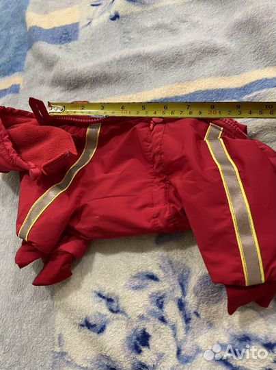 Одежда для собак