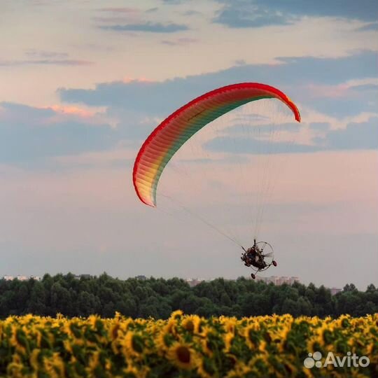 Подарок на день рождение