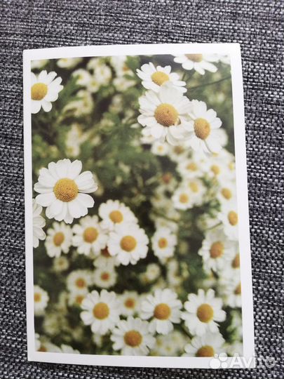 Почтовые карточки и открытки Великобритания