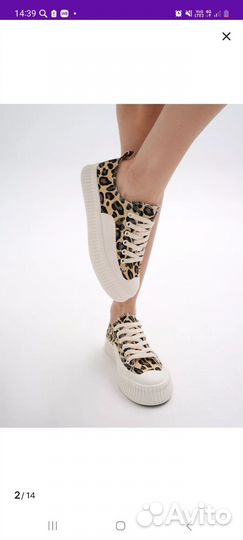 Леопардовые кеды