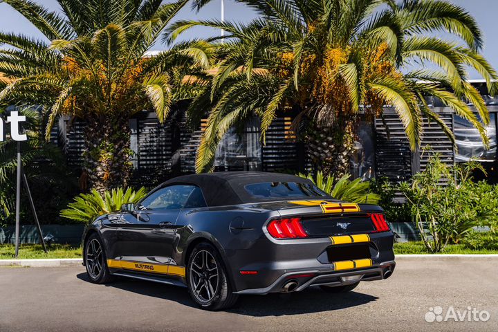 Аренда авто прокат Ford Mustang 2021 г