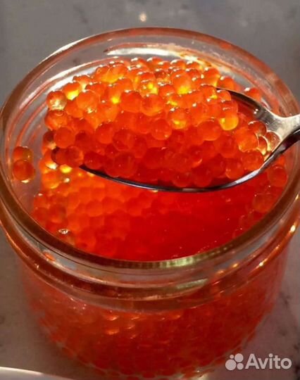 Красная икра Кета, Горбуша