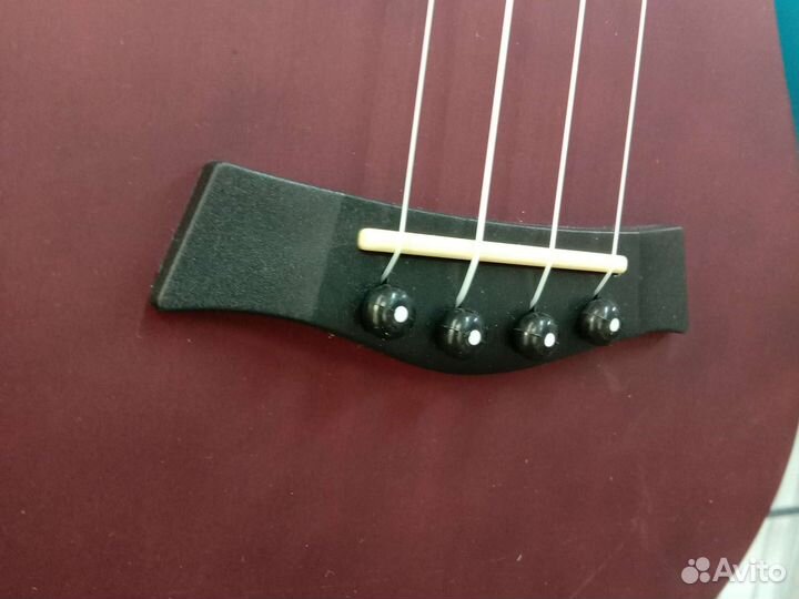 Укулеле концерт 23