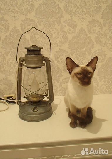 Лампа электро-керосиновая 2 в 1