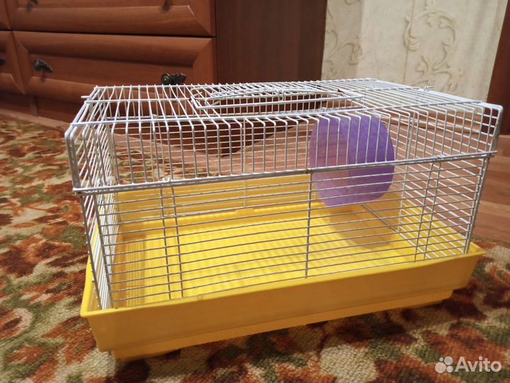 Клетка для хомяка 1000р
