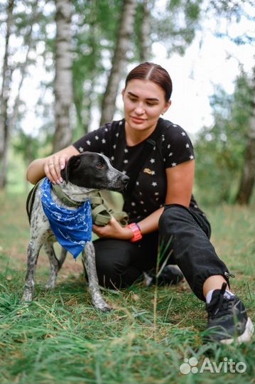 Щенок ищет семью