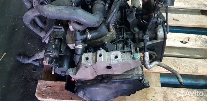 АКПП Skoda Octavia BFQ 1.6