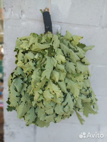 Веник дубовый