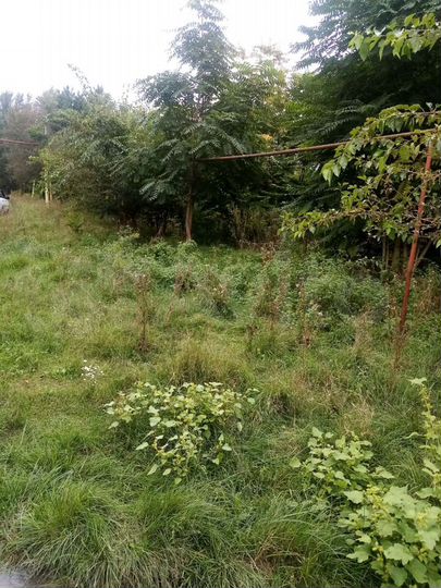 Участок 7 сот. (ИЖС)