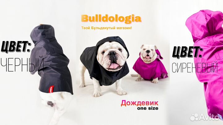 Дождевик для собаки Черный/Сиреневый