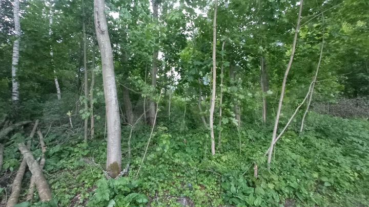 Участок 9 сот. (СНТ, ДНП)