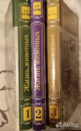 Брэм жизнь животных