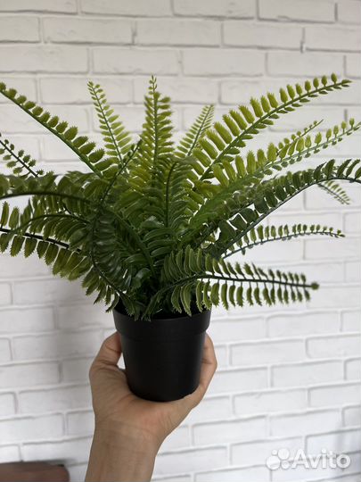 Икеа искусственный цветок серии 