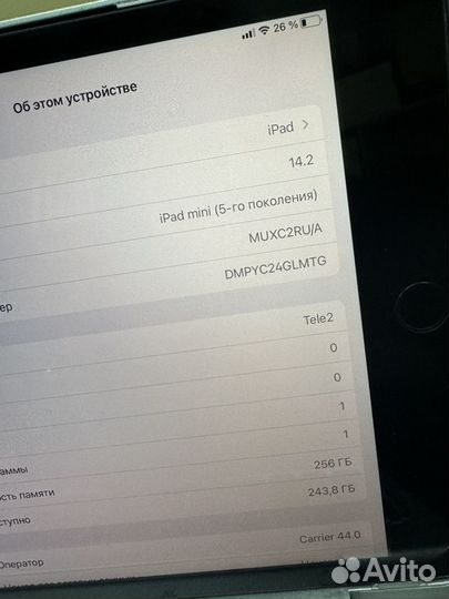 iPad Mini 5 256Gb LTE Ростест Акб87 Procreate