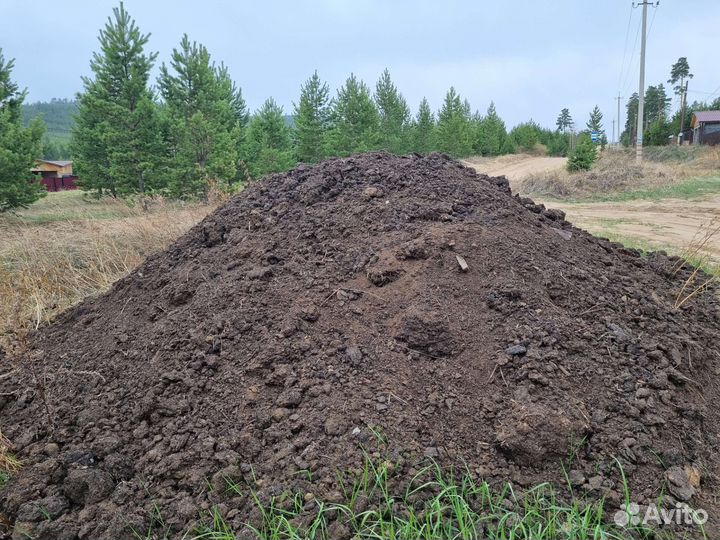 Перегной коровий