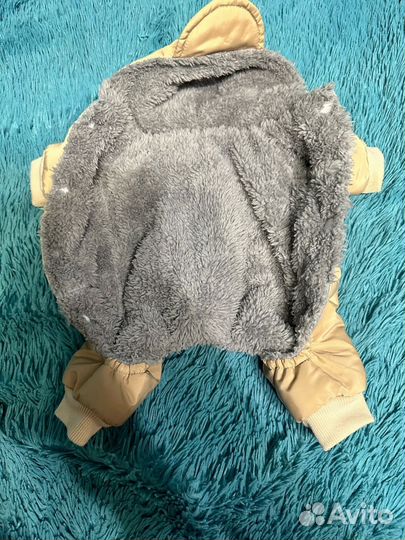 Зимний комбинезон для маленьких пород