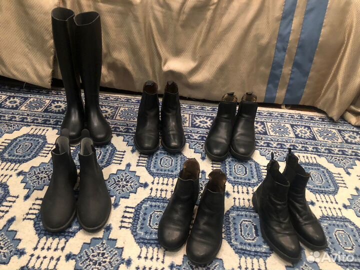 Сапоги и ботинки для конного спорта