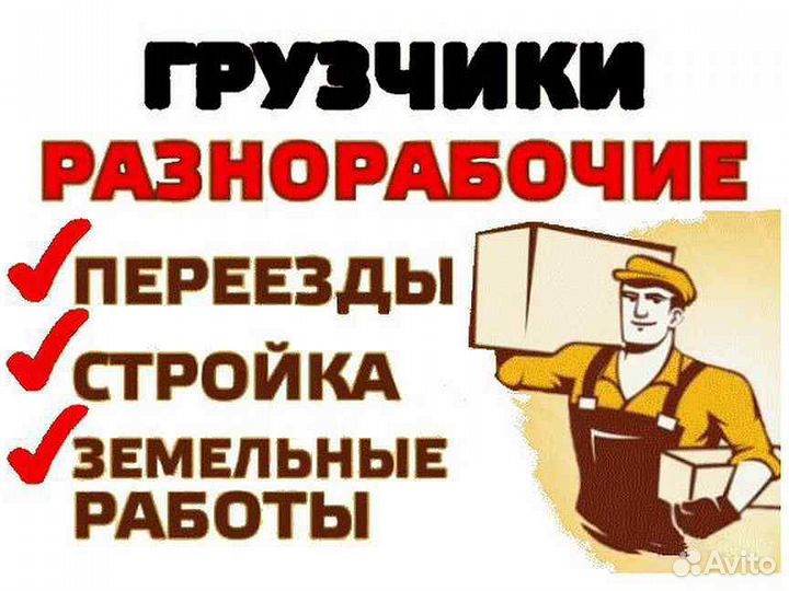 Разнорабочие