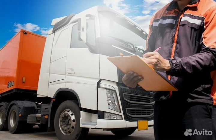 ООО с транспортными оквэдами и чистой историей