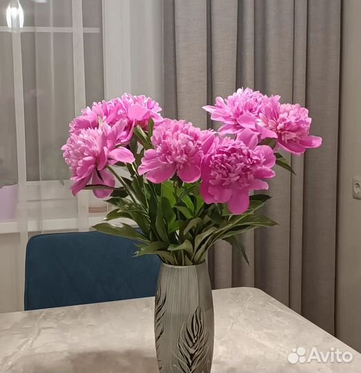 Пион розовый клубни