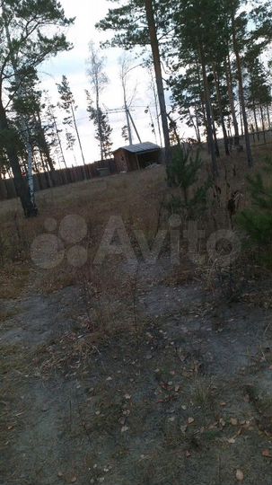 Участок 12 сот. (ИЖС)