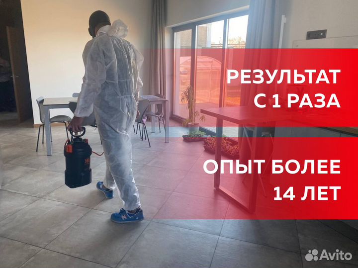 Дезинфекция. Уничтожение тараканов, клопов, клещей