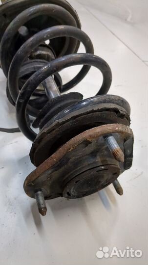 Амортизатор подвески Pontiac Vibe 2, 2009