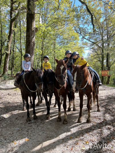 Kонная прoгулка к Axштырской пещeрe (Краcнaя пoлян