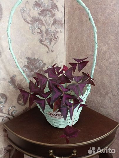 Корзина для цветов
