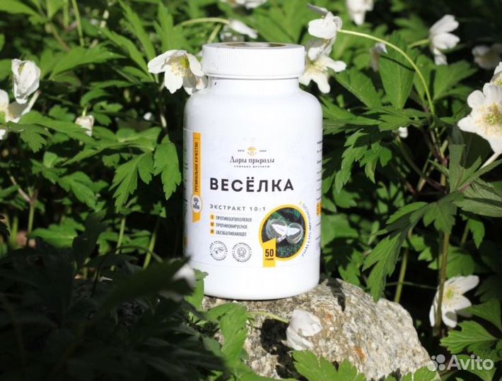Дары/П Веселка полисахариды 50экстракт. рейши муэр