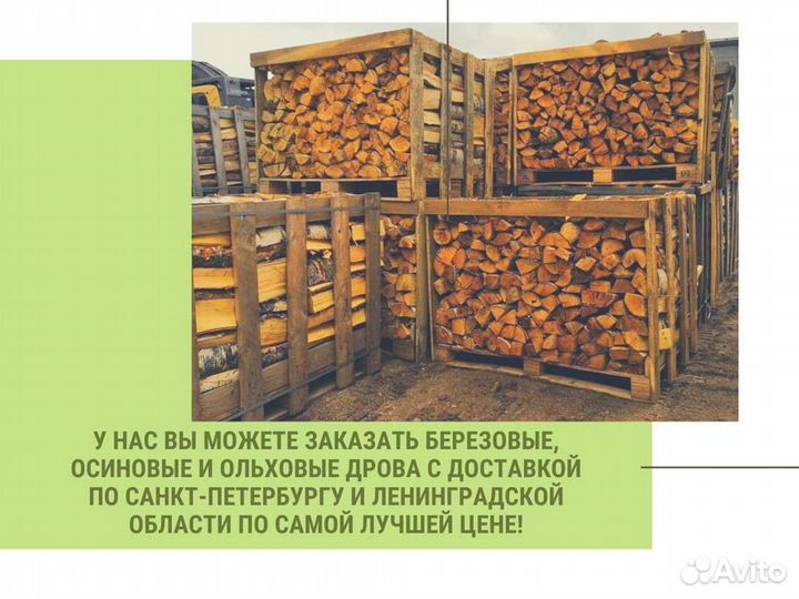Дрова колотые березовые